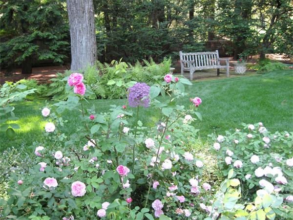 21 Albion Road Wellesley, MA 02481 - Photo 21 of 26