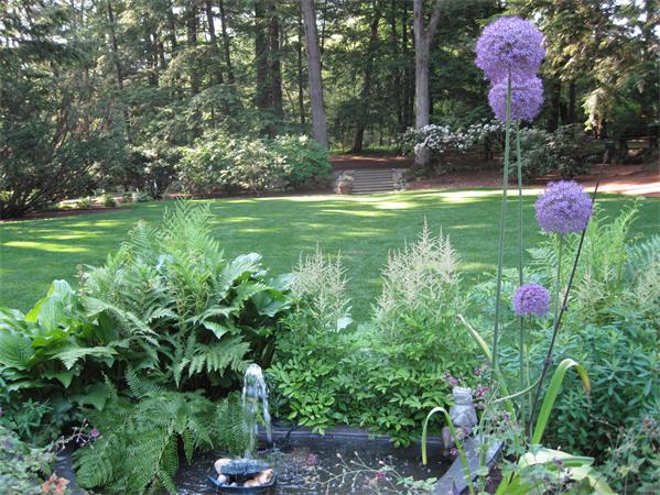 21 Albion Road Wellesley, MA 02481 - Photo 24 of 26
