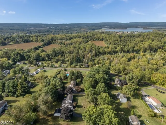 a view of a city with lush green forest
