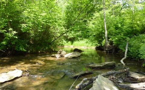 Wolf Creek Road Murphy, NC 28906 - Photo 1 of 1 Main View
