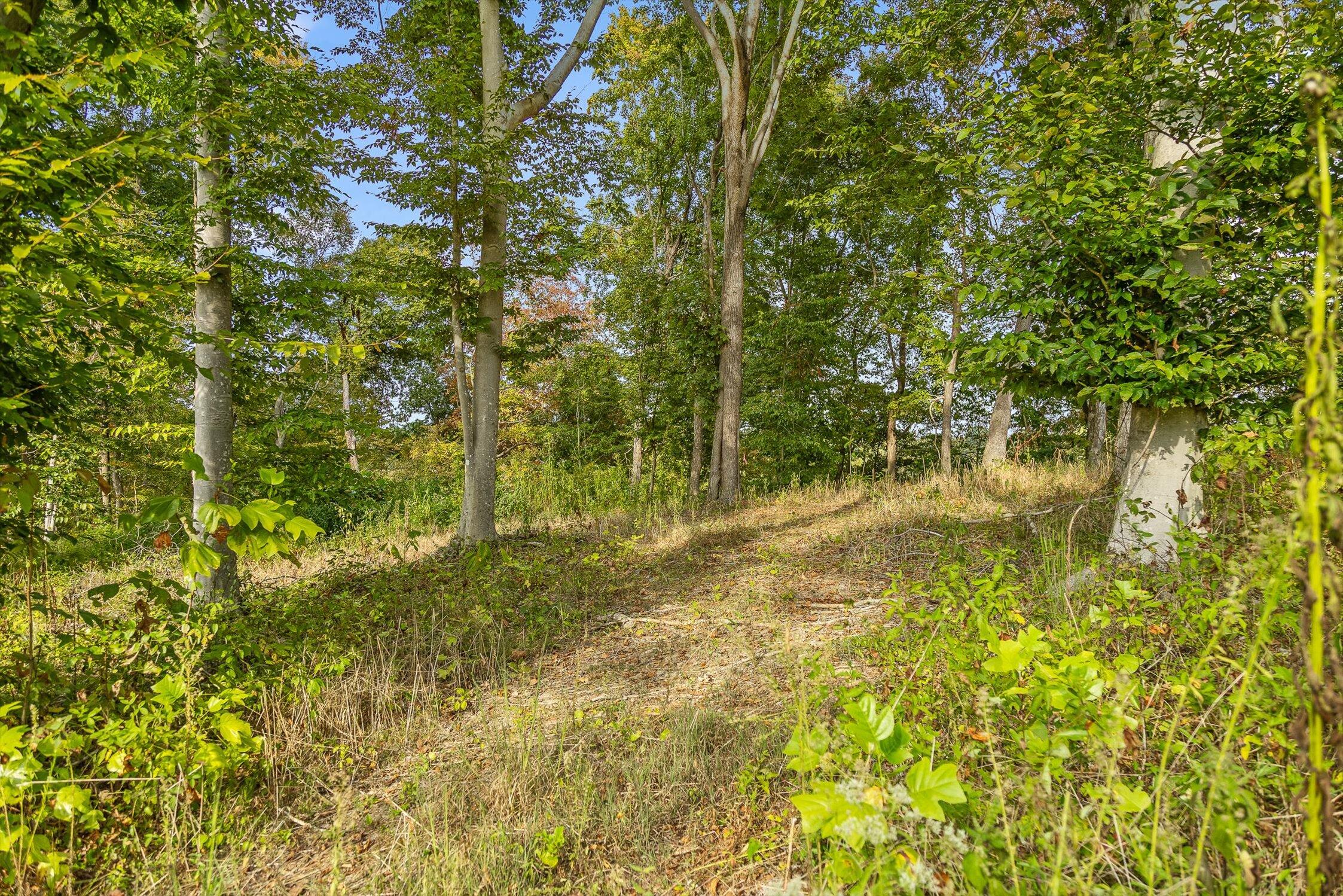7 Sturgeon Creek Road Cedar Hill, TN 37032 - Photo 16 of 36 095-Sturgeon Creek-47