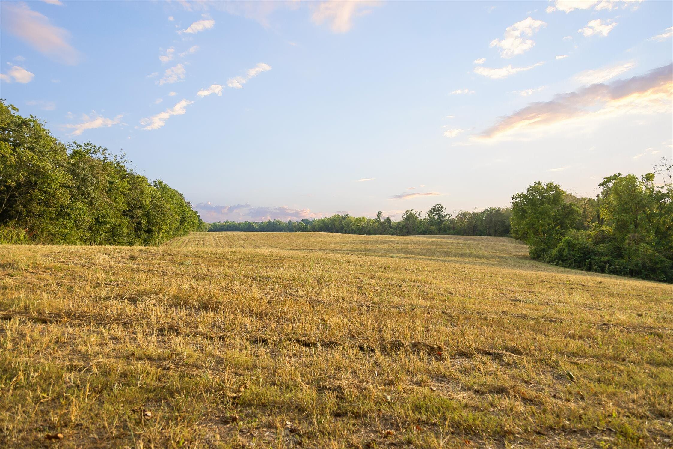 7 Sturgeon Creek Road Cedar Hill, TN 37032 - Photo 21 of 36 072-Sturgeon Creek-70
