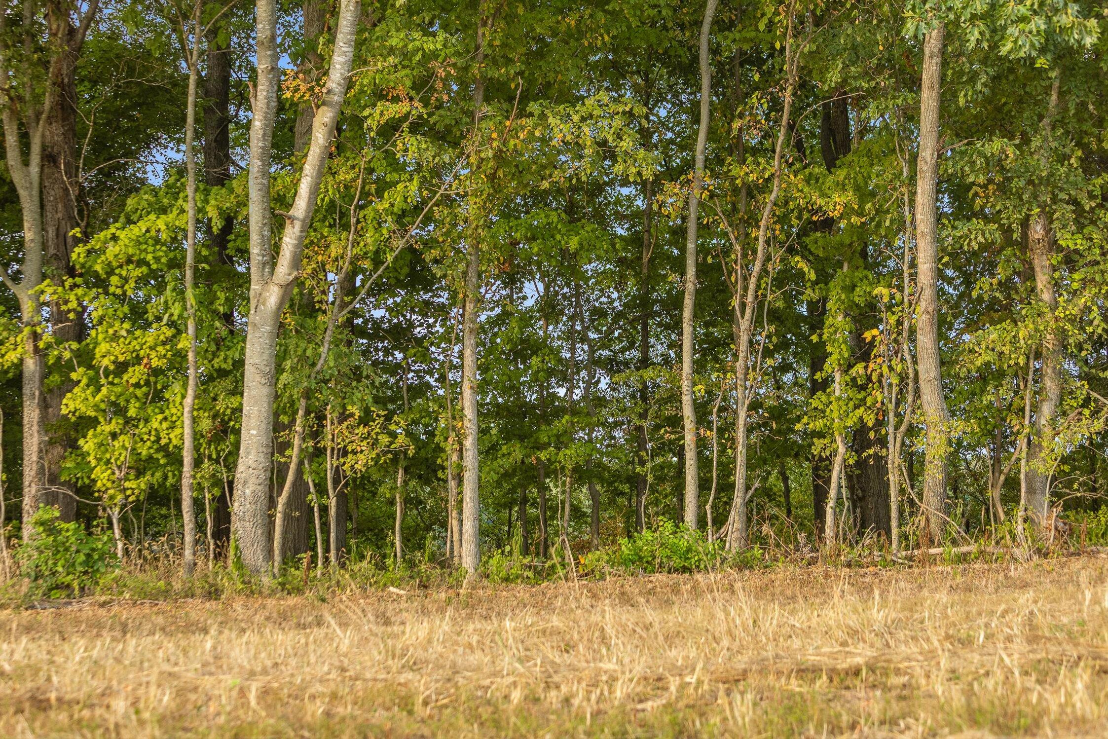 7 Sturgeon Creek Road Cedar Hill, TN 37032 - Photo 22 of 36 075-Sturgeon Creek-67