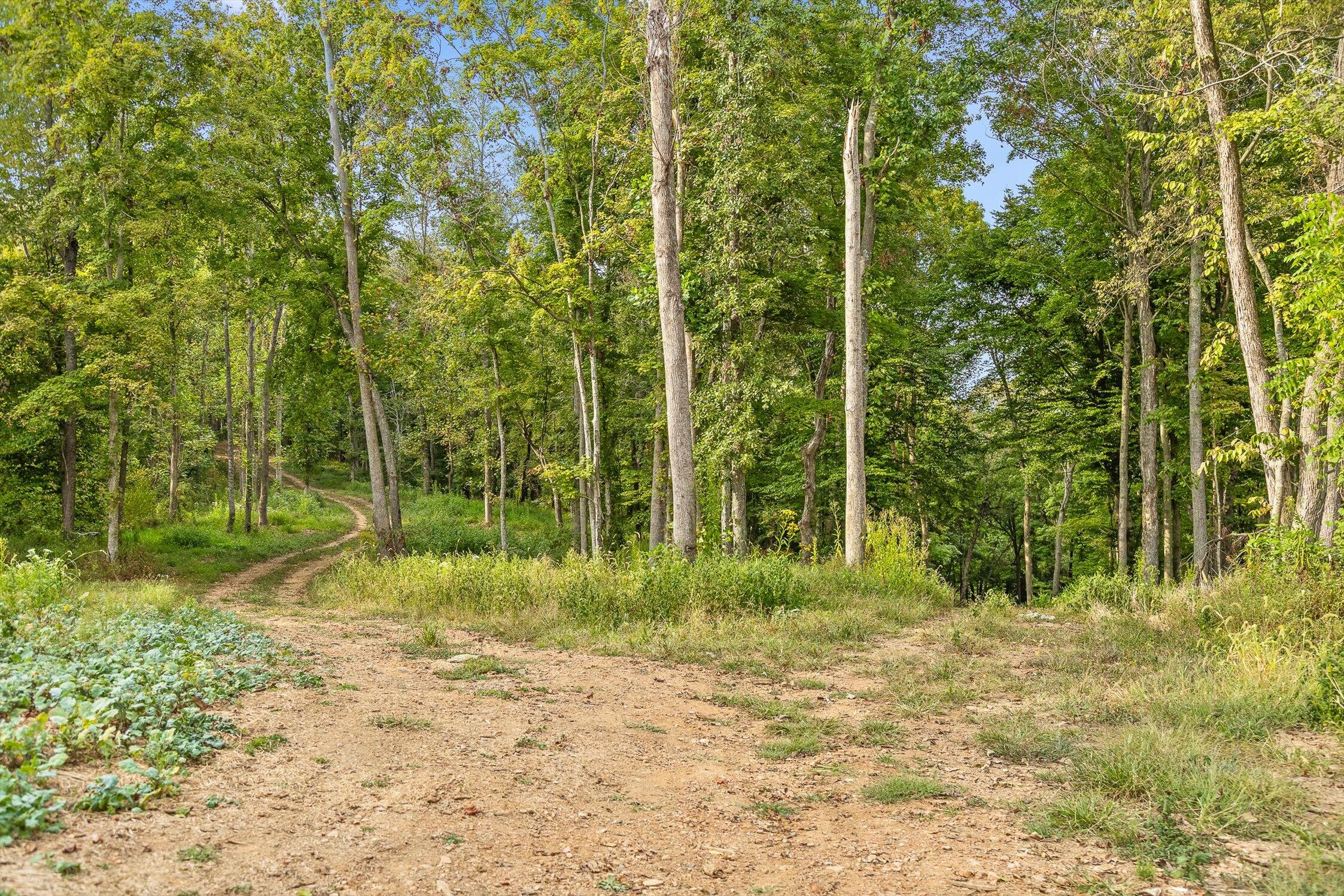 7 Sturgeon Creek Road Cedar Hill, TN 37032 - Photo 26 of 36 091-Sturgeon Creek-51