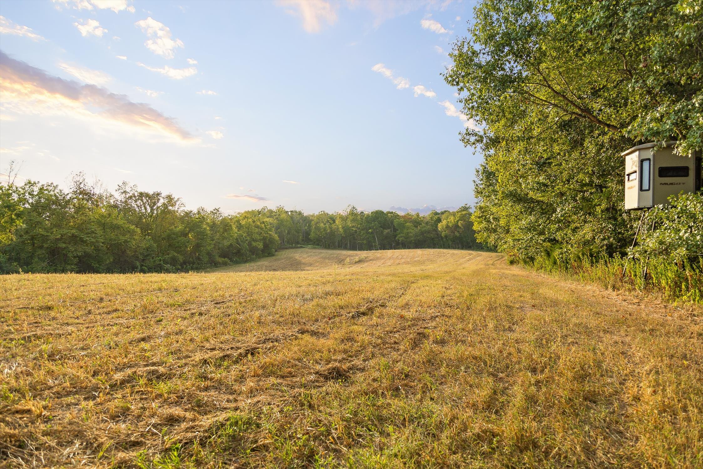 7 Sturgeon Creek Road Cedar Hill, TN 37032 - Photo 6 of 36 071-Sturgeon Creek-71