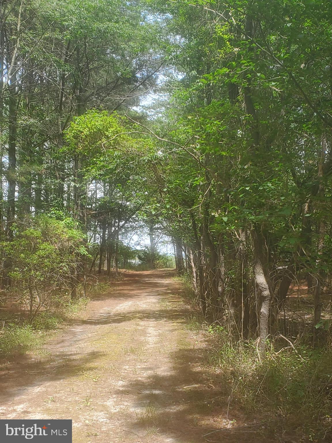 6046 Todds Point Road Cambridge, MD 21613 - Photo 7 of 13 Lane looking towards the waterfront