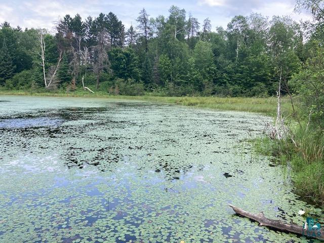 11919 Luna Lake Road Side Lake, MN 55781 - Photo 12 of 23