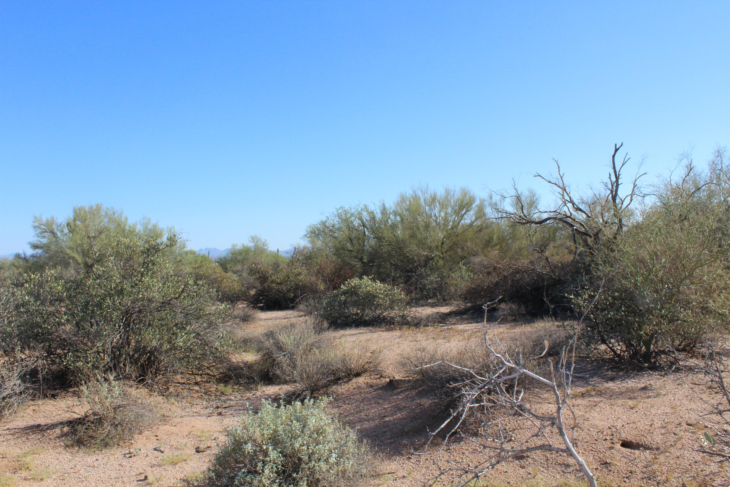 17400 East Lone Mountain Road Rio Verde, AZ 85263 - Photo 6 of 9 Lots of mature vegetation.