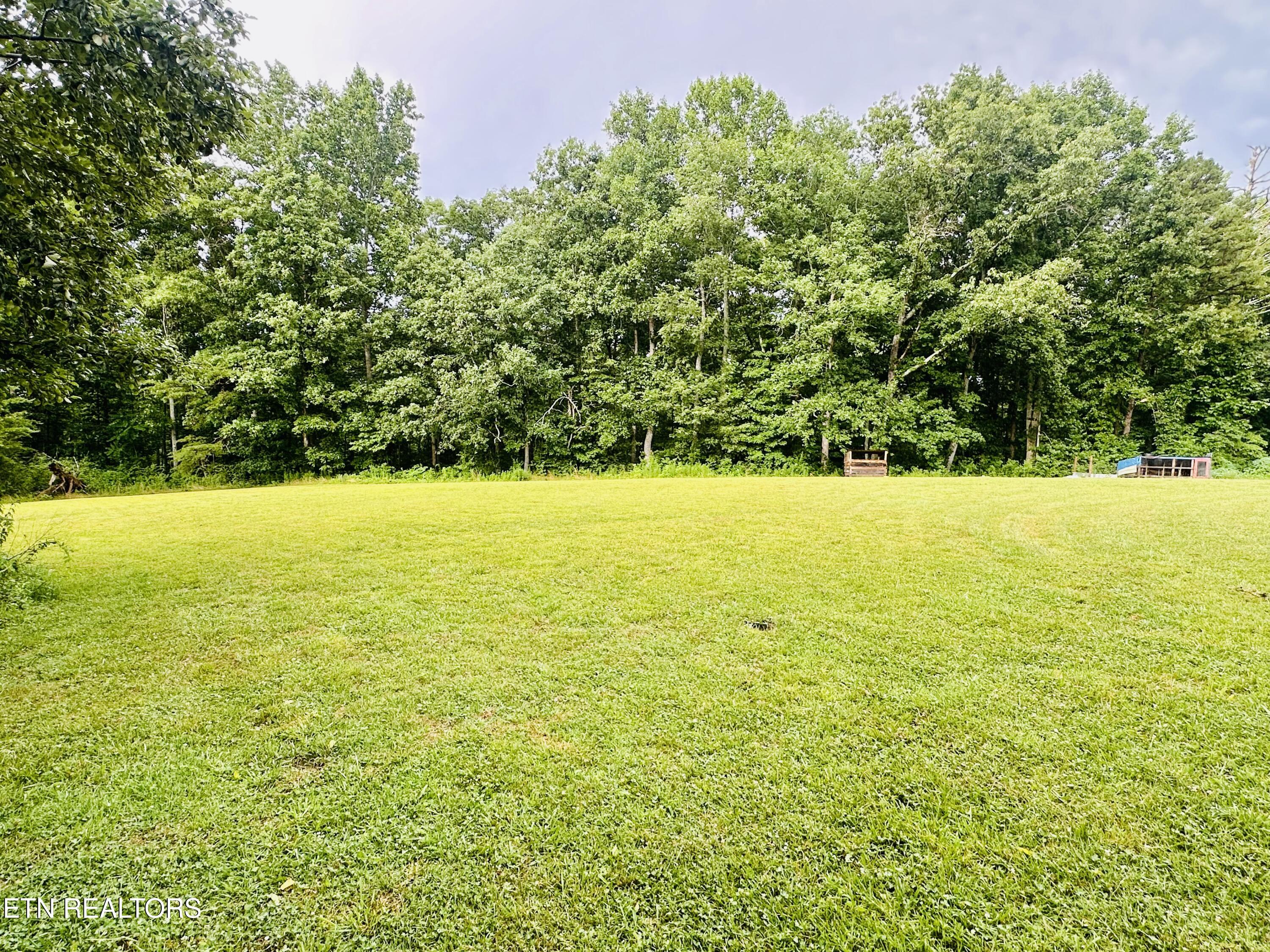 1240 Burrville Road Sunbright, TN 37872 - Photo 25 of 27 IMG_5587