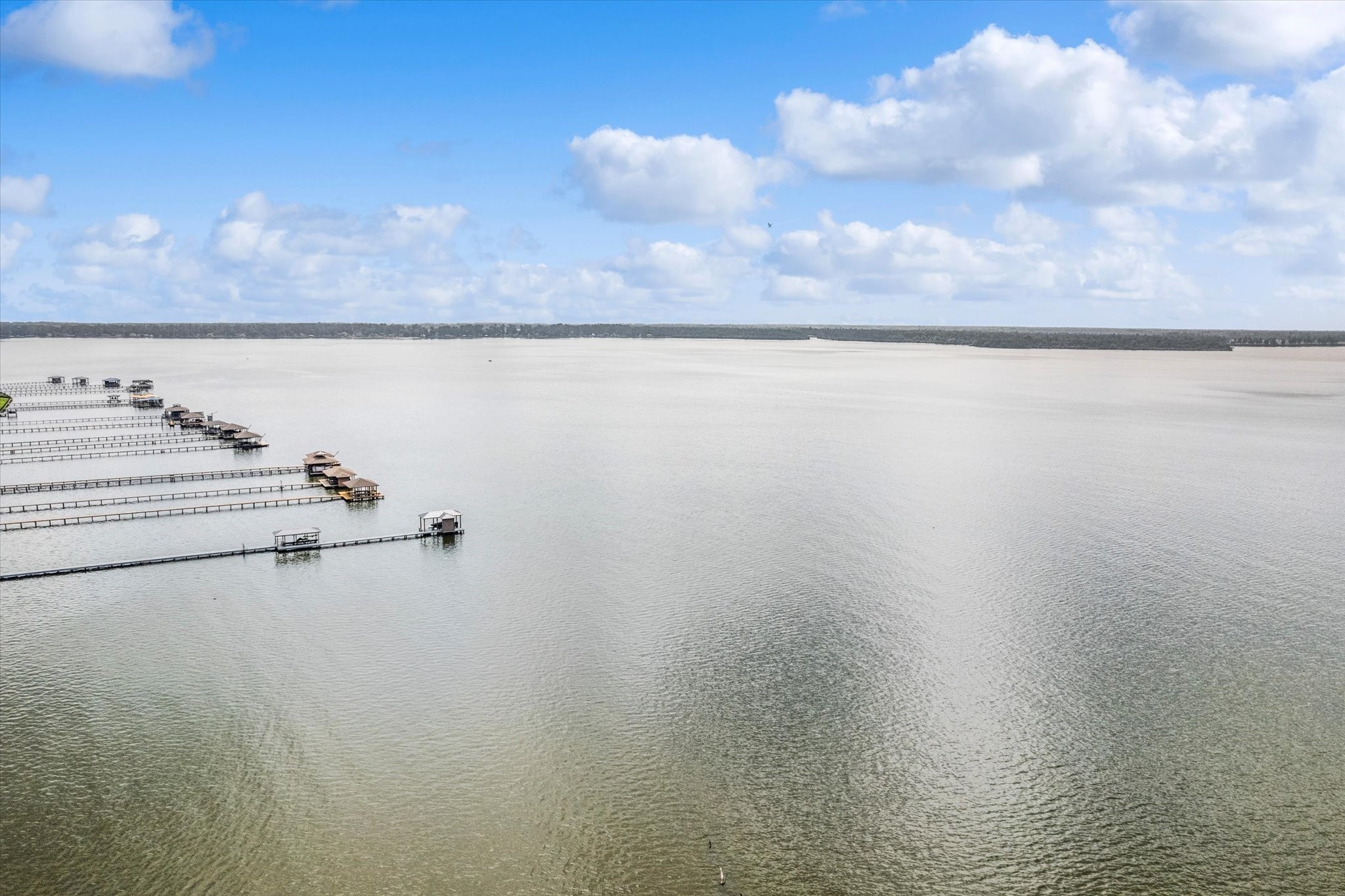 18130 Millau Viaduct Way Houston, TX 77044 - Photo 47 of 50