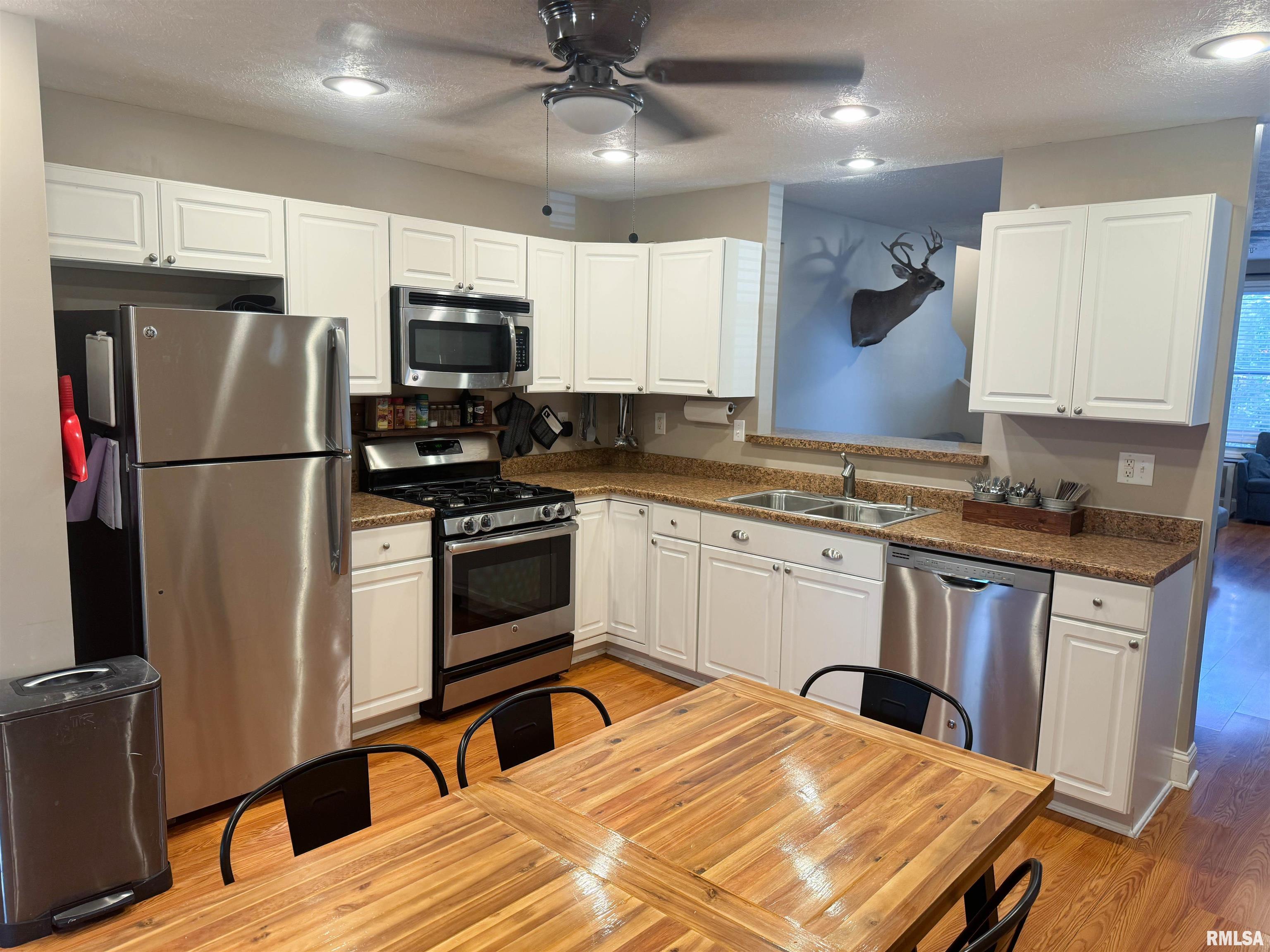 311 South Locust Street Jonesboro, IL 62952 - Photo 11 of 33