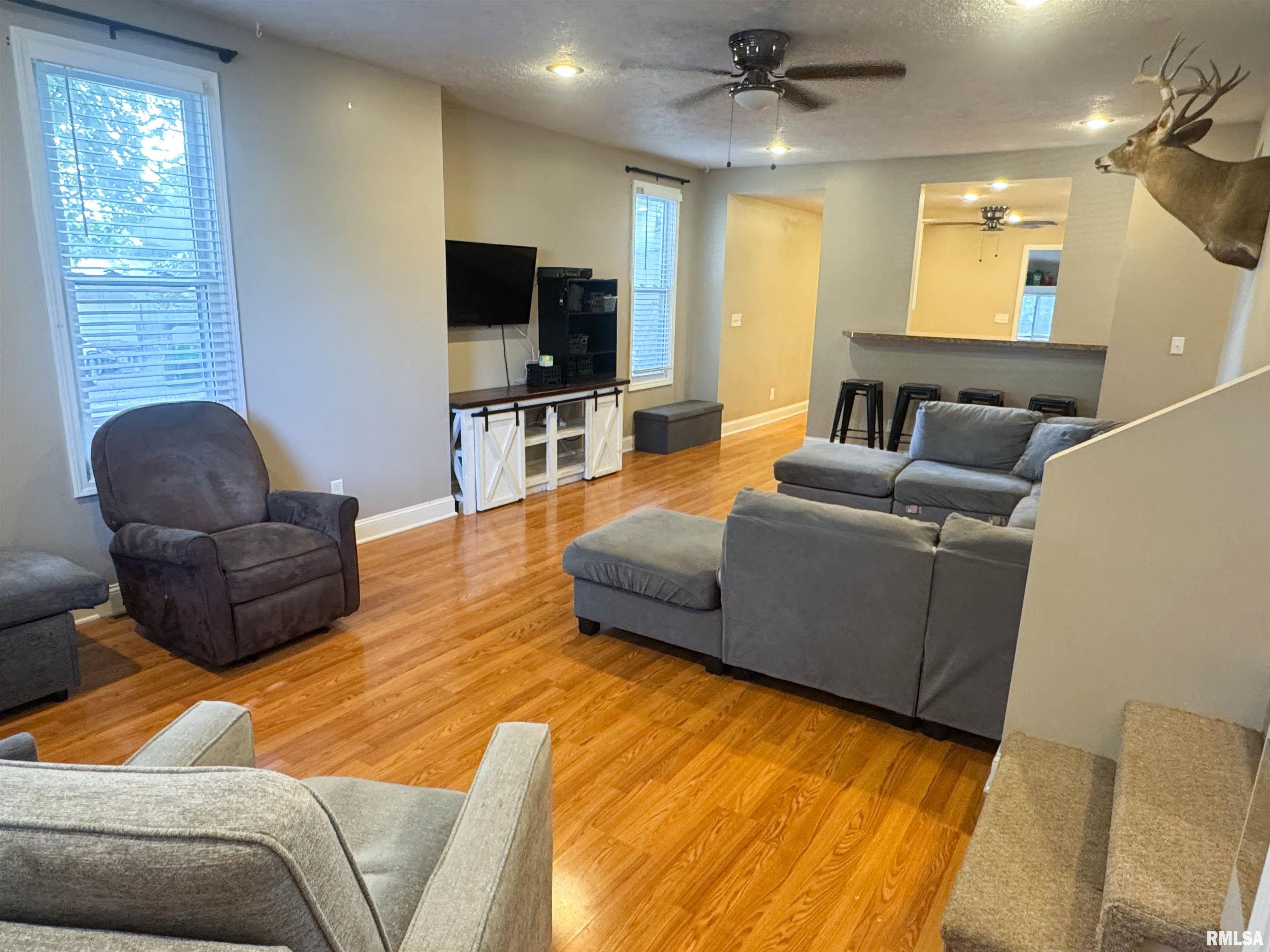 311 South Locust Street Jonesboro, IL 62952 - Photo 6 of 33