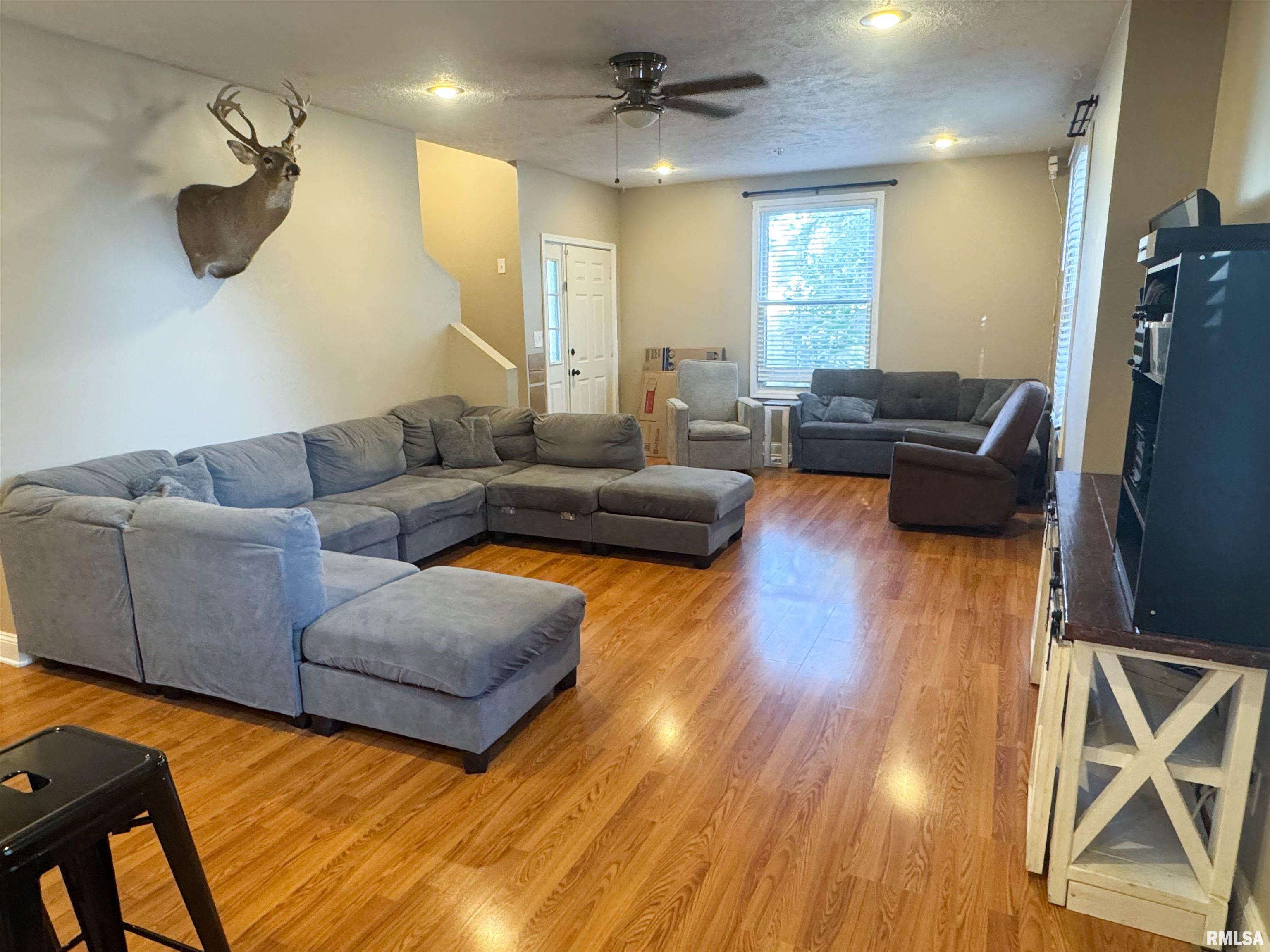 311 South Locust Street Jonesboro, IL 62952 - Photo 7 of 33