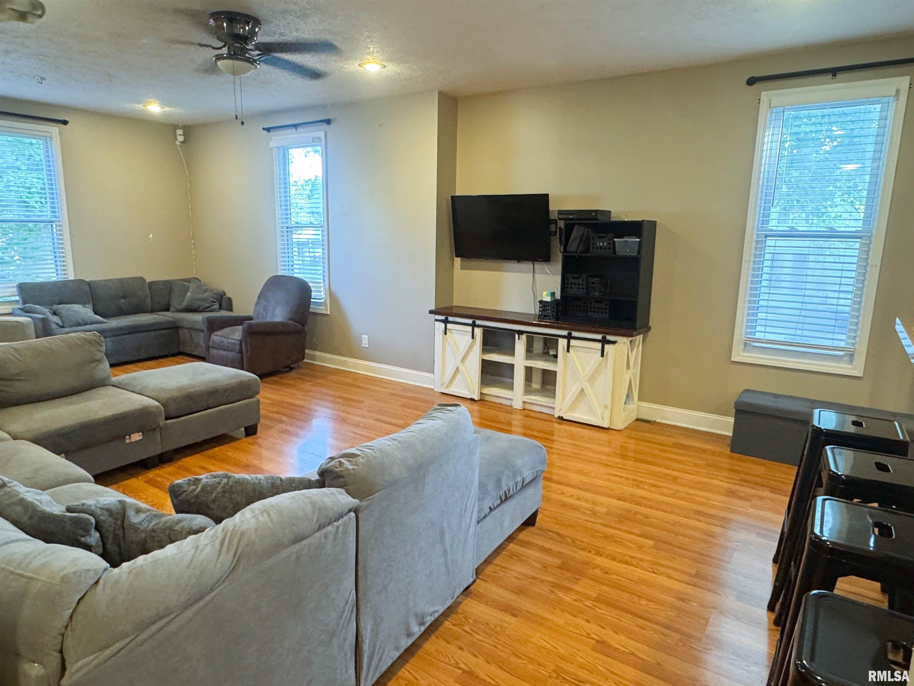 311 South Locust Street Jonesboro, IL 62952 - Photo 8 of 33