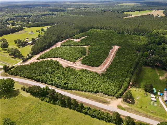 2 436th Highway Angie, LA 70426 - Photo 1 of 19