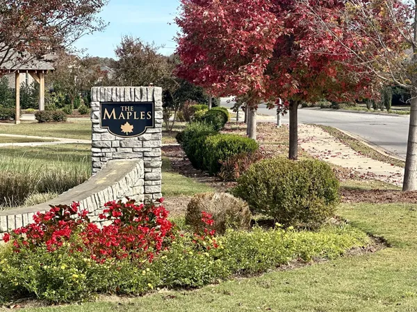 a view of a street with a flower garden