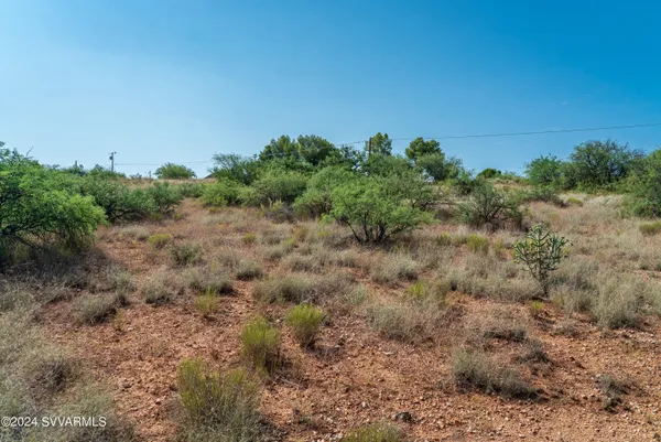 a view of a green field with lots of bushes