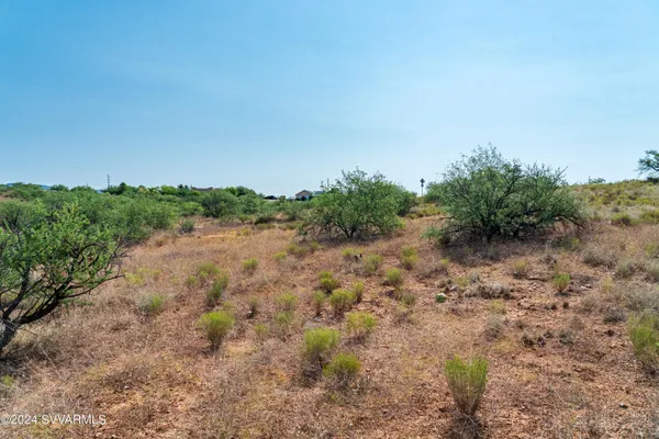 a view of a bunch of trees in a field