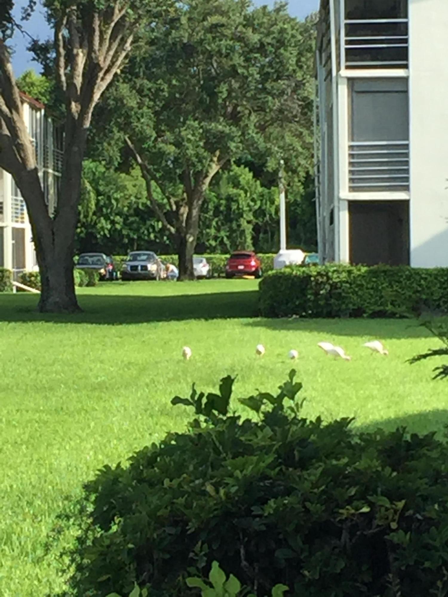51 Fanshaw B Boca Raton, FL 33434 - Photo 29 of 31 IMG_4950