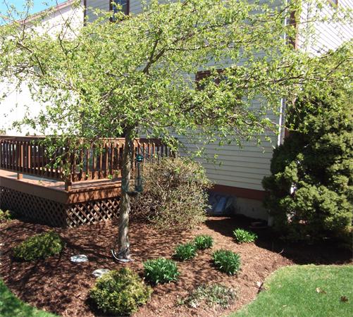 172 Brook Farm Road, Unit 172 Boston, MA 02132 - Photo 4 of 8 Gallery Image 4