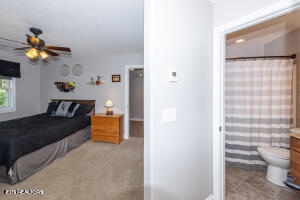 360 Alfred McCammon Road Maryville, TN 37804 - Photo 46 of 60 20250917130932580856000000