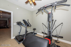 360 Alfred McCammon Road Maryville, TN 37804 - Photo 53 of 60 20250917130950756227000000