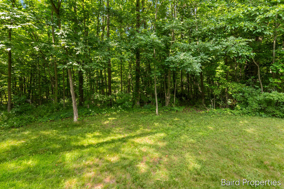 11227 Barnsley Road Lowell, MI 49331 - Photo 4 of 36
