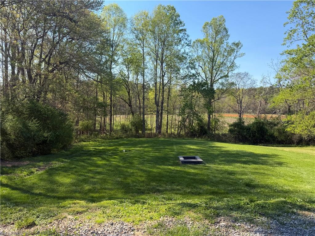 192 Shoals Road Pinnacle, NC 27043 - Photo 3 of 34 Back yard