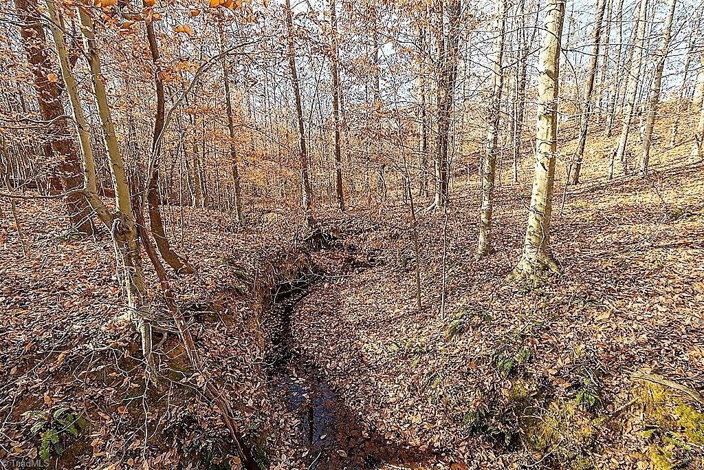 8315 Dennis Road Walnut Cove, NC 27052 - Photo 29 of 30 One of The Two Seasonal Creeks on Property