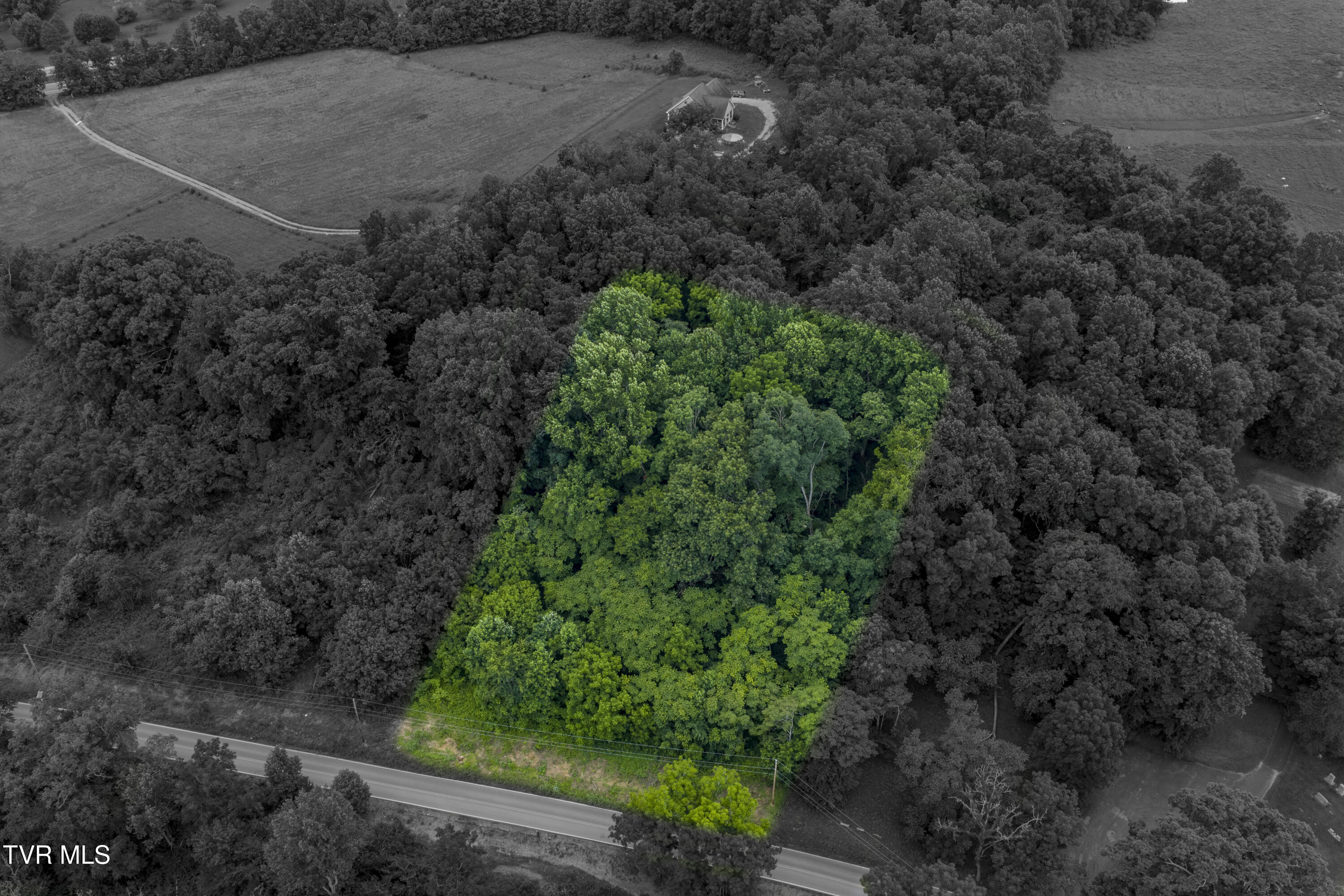 Lot 7 Clear Springs Road, Unit 7 Limestone, TN 37681 - Photo 1 of 17 ClearSprings-boundary1-1