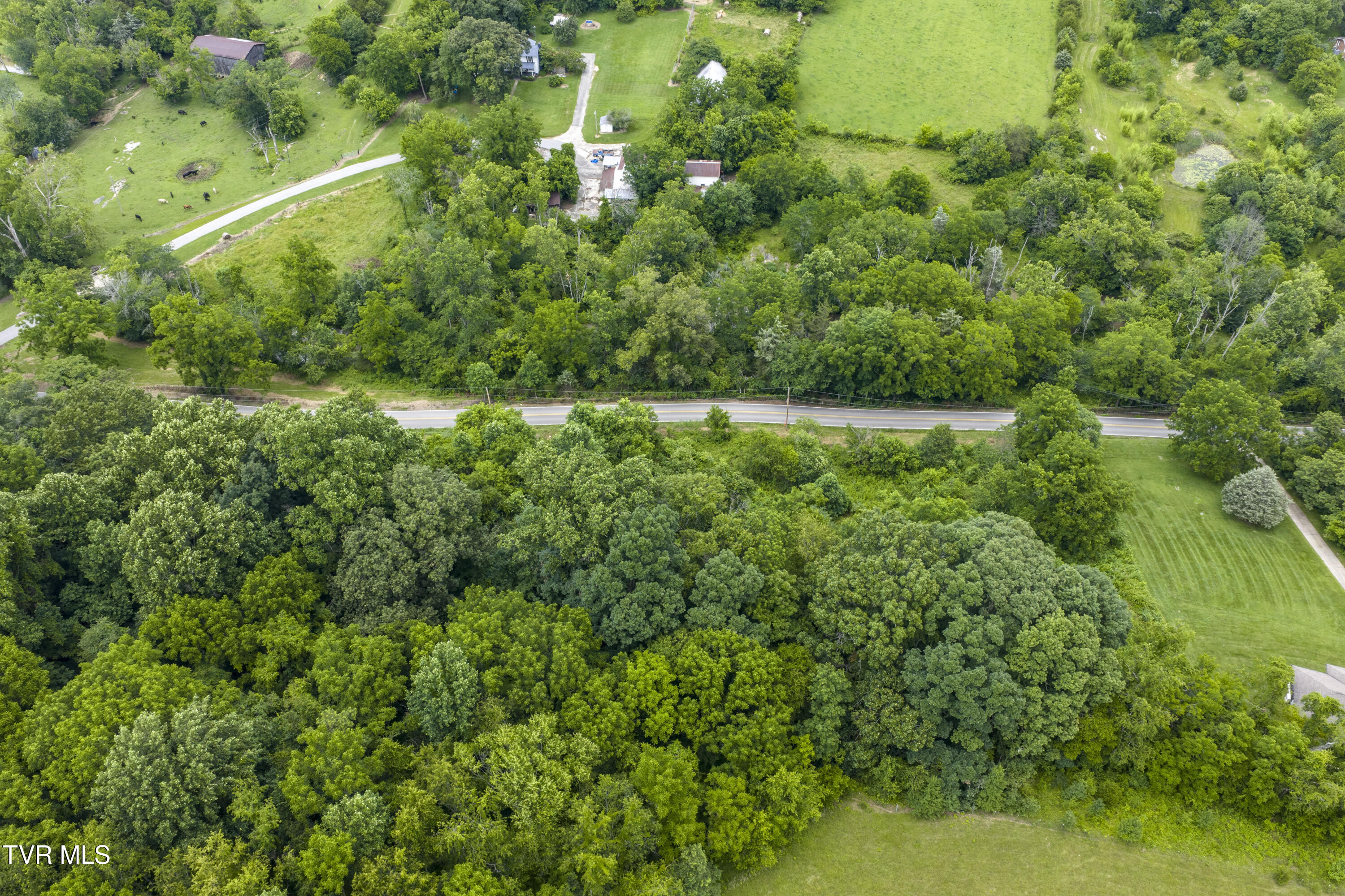 Lot 7 Clear Springs Road, Unit 7 Limestone, TN 37681 - Photo 11 of 17 ClearSprings-13