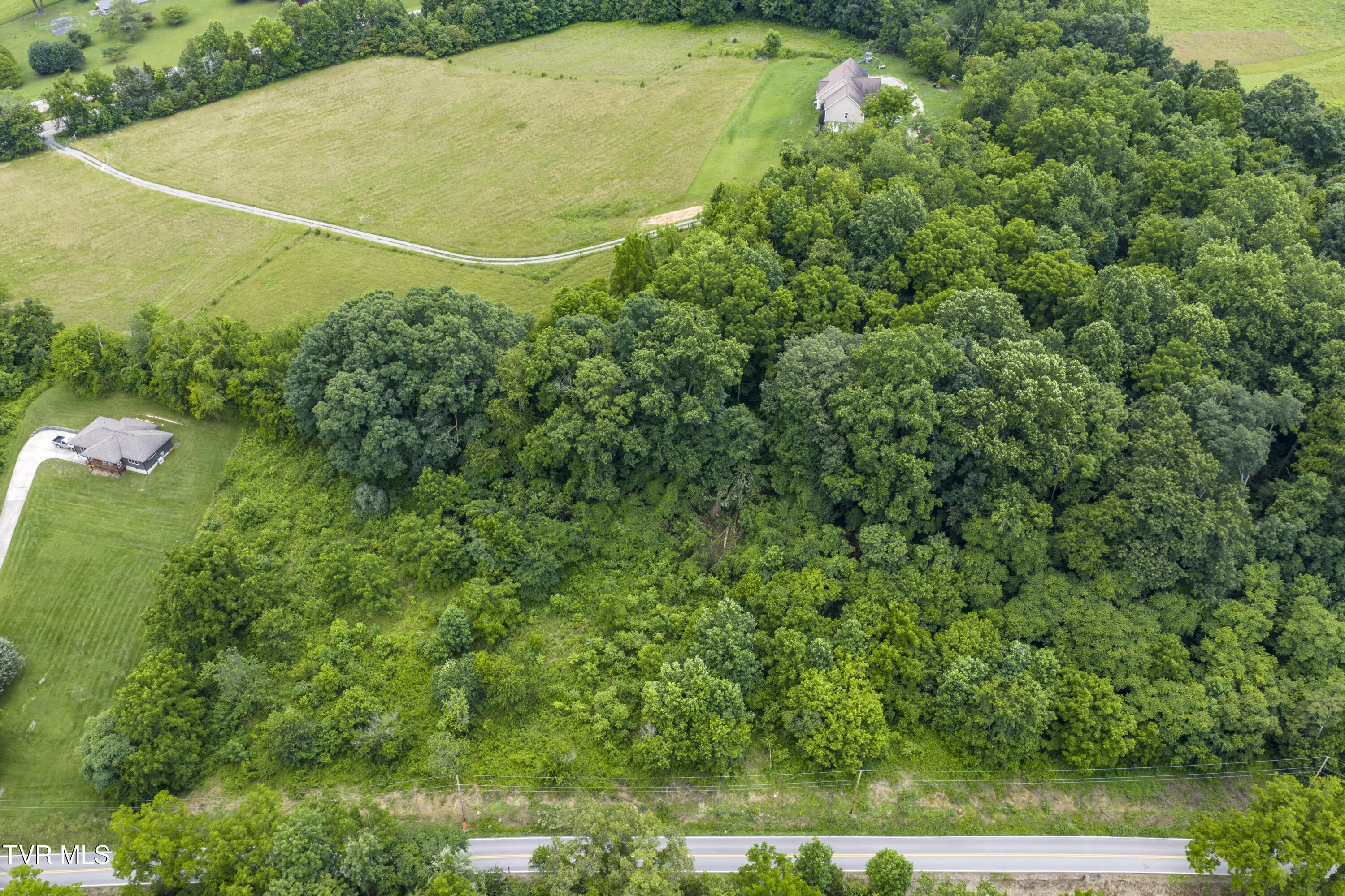 Lot 7 Clear Springs Road, Unit 7 Limestone, TN 37681 - Photo 8 of 17 ClearSprings-9