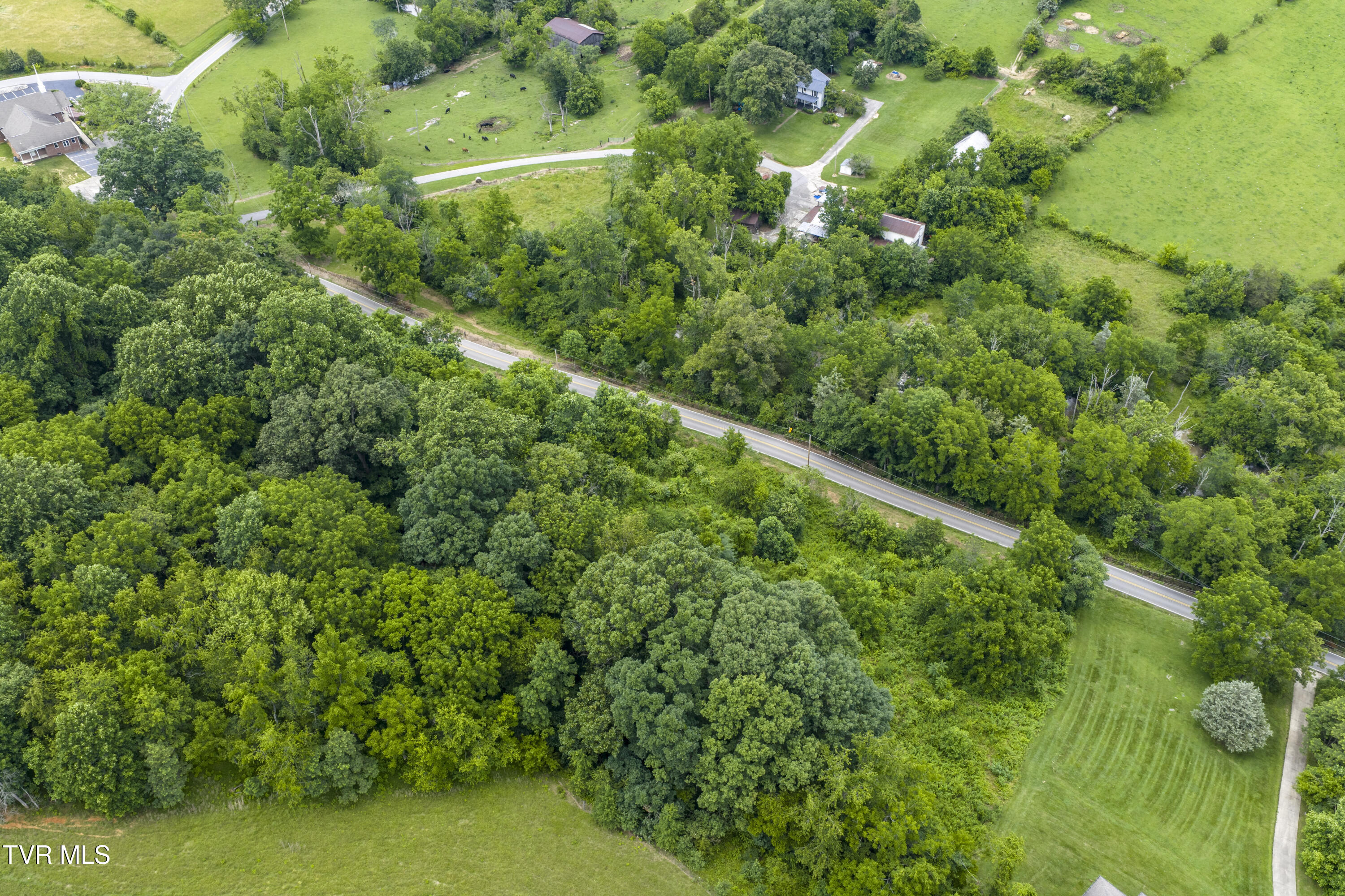 Lot 7 Clear Springs Road, Unit 7 Limestone, TN 37681 - Photo 10 of 17 ClearSprings-12