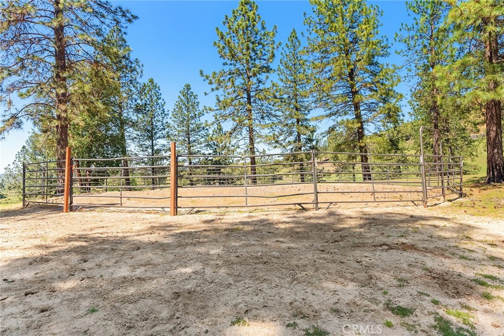 5735 Lunt Road Yankee Hill, CA 95965 - Photo 34 of 48 a view of back yard