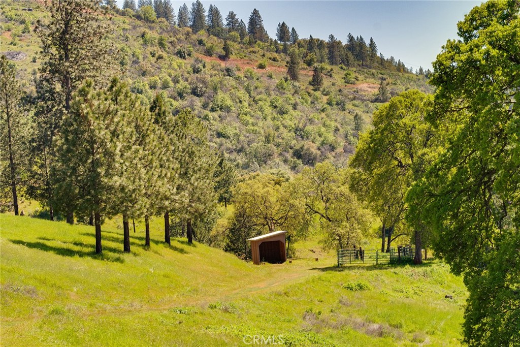 5735 Lunt Road Yankee Hill, CA 95965 - Photo 36 of 48 a view of yard with swimming pool and trees