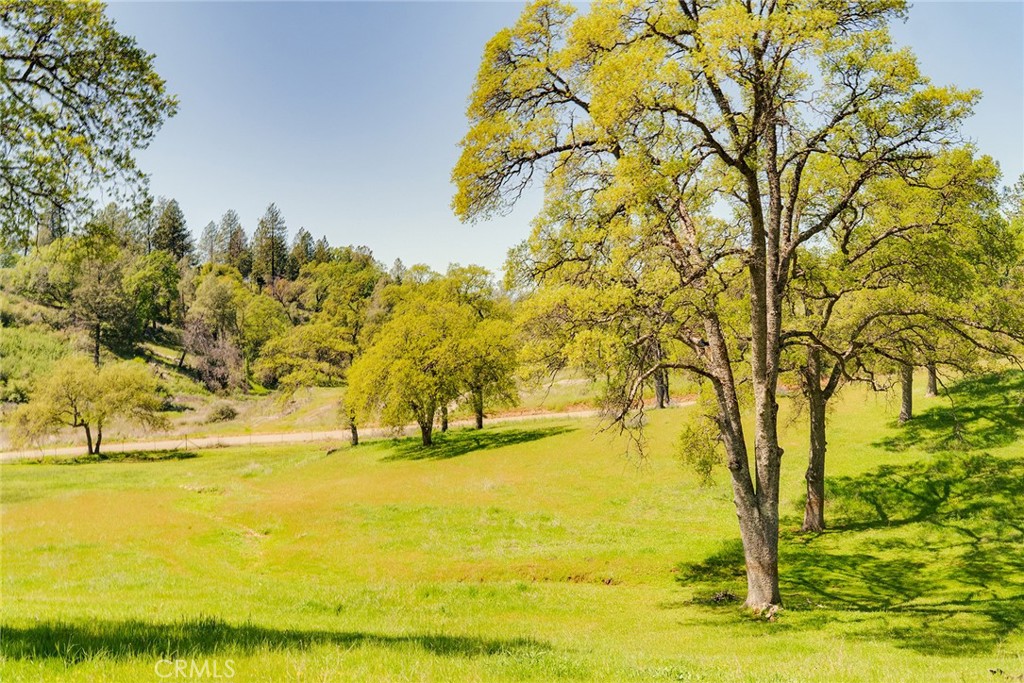 5735 Lunt Road Yankee Hill, CA 95965 - Photo 37 of 48 a view of ocean with a large trees
