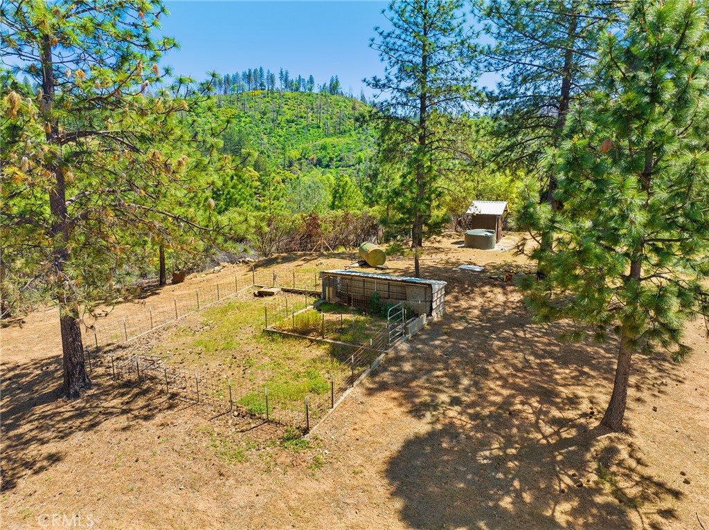 5735 Lunt Road Yankee Hill, CA 95965 - Photo 42 of 48 a view of a backyard with swimming pool
