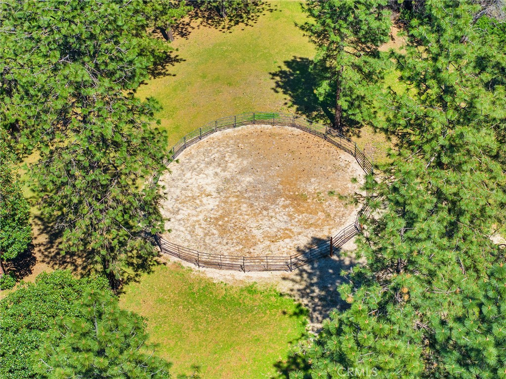 5735 Lunt Road Yankee Hill, CA 95965 - Photo 43 of 48 a view of a lake in a forest