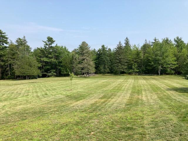 618 Point Road Hancock, ME 04640 - Photo 53 of 62 Back field.