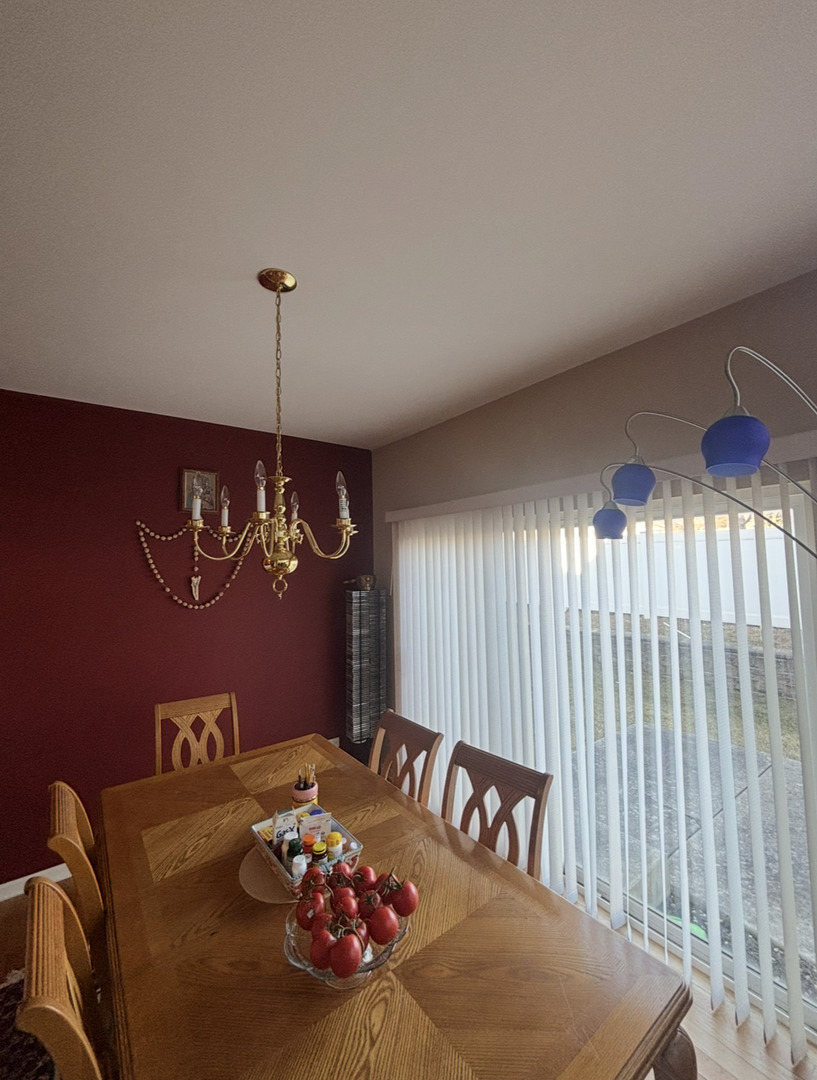 354 Aaron Lane Bolingbrook, IL 60440 - Photo 5 of 17