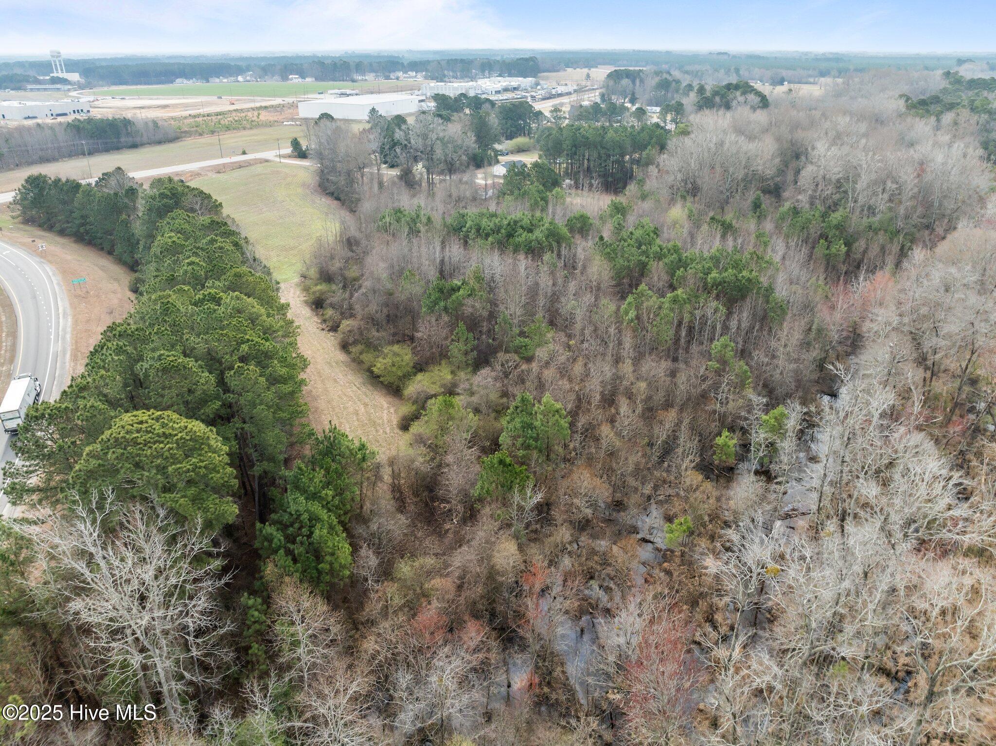 0 McNair Road Tarboro, NC 27886 - Photo 13 of 14 13-web-or-mls-DJI_0859