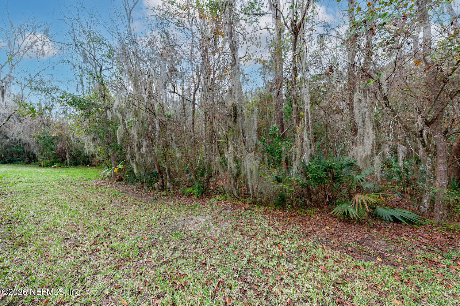3532 Twisted Tree Lane Jacksonville, FL 32216 - Photo 20 of 23 a view of a yard with large trees