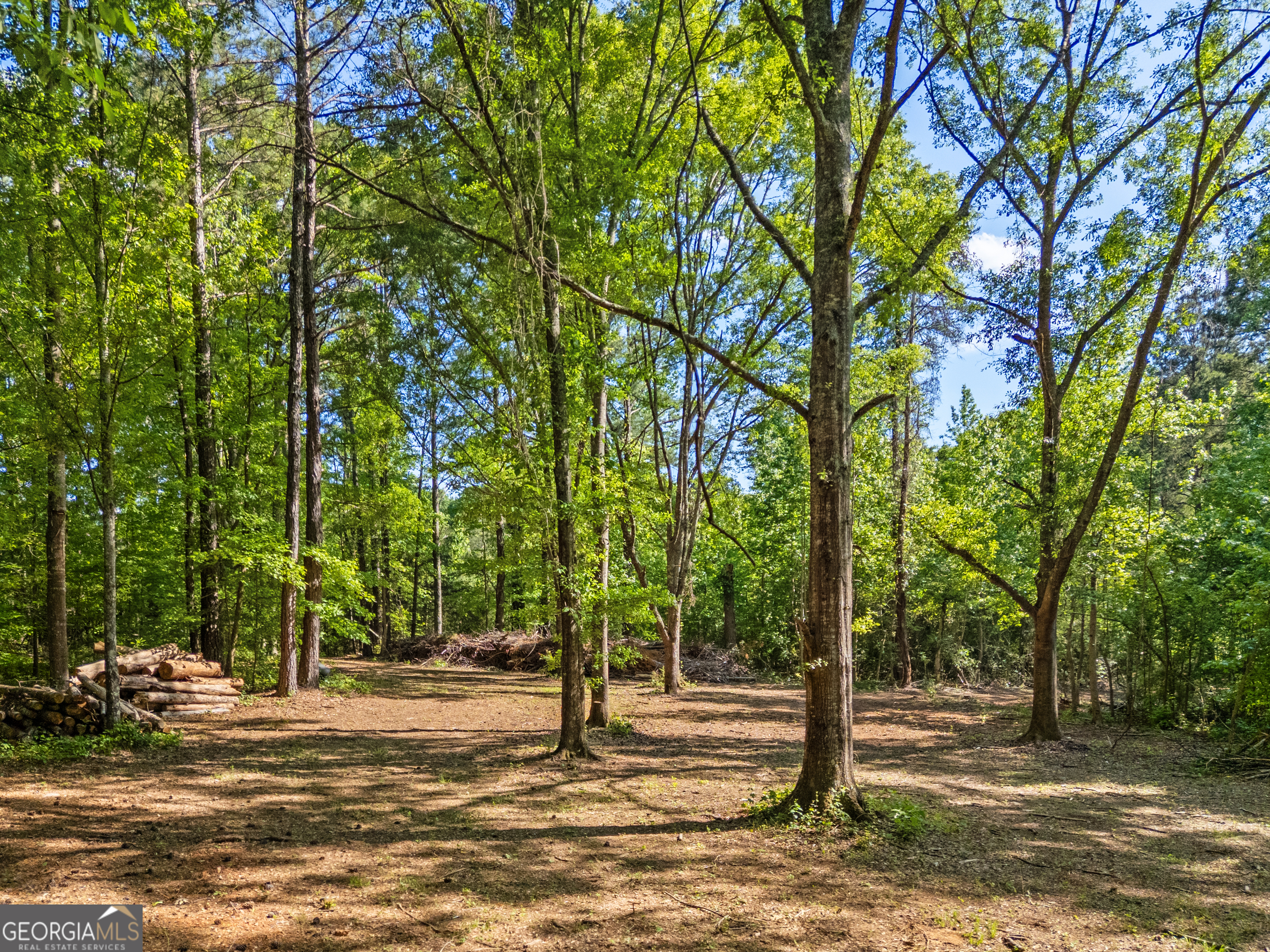 0 Oak Road Jenkinsburg, GA 30234 - Photo 11 of 18 Gallery Image 11