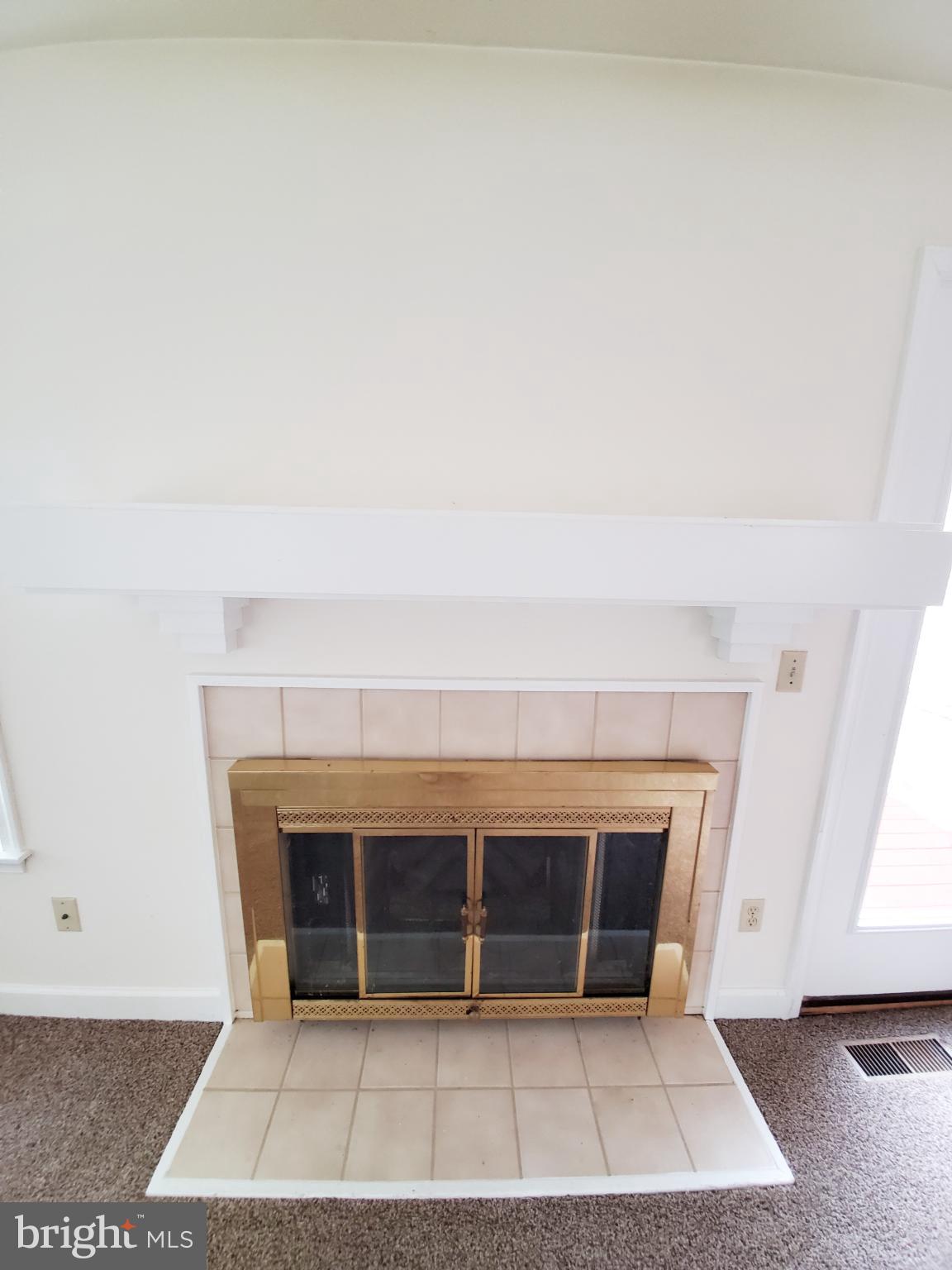311 A Union Avenue, Unit A Salisbury, MD 21801 - Photo 21 of 38 a room with a fireplace and a rug