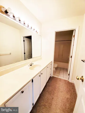 a bathroom with a toilet and a bathtub