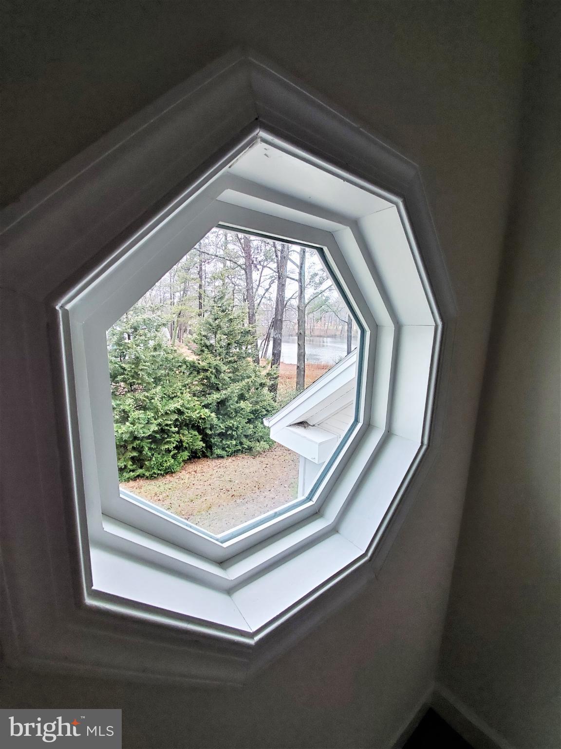 311 A Union Avenue, Unit A Salisbury, MD 21801 - Photo 36 of 38