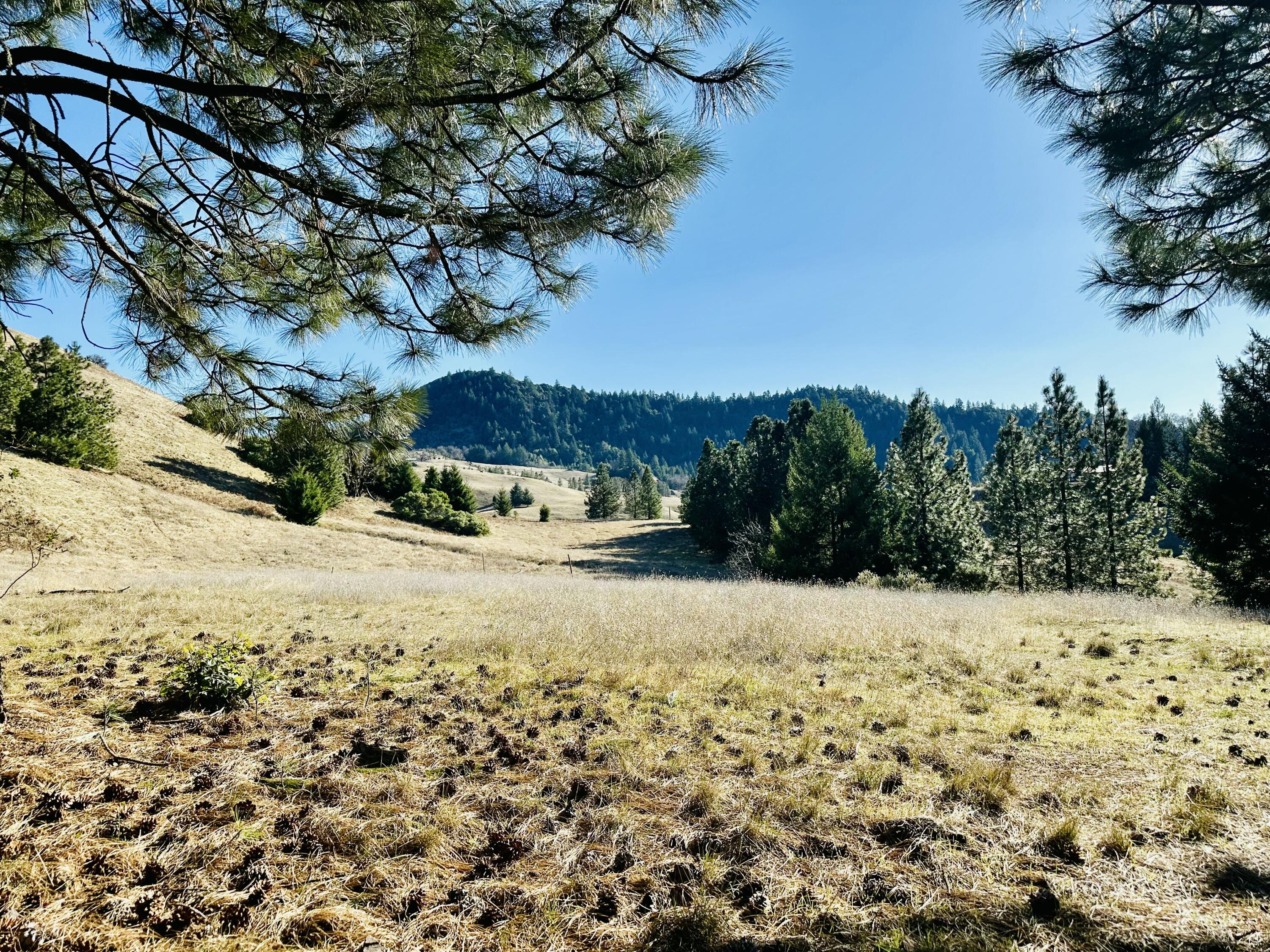 40 Wool Mountain Road Zenia, CA 95595 - Photo 2 of 62 tempImagez8FxyS