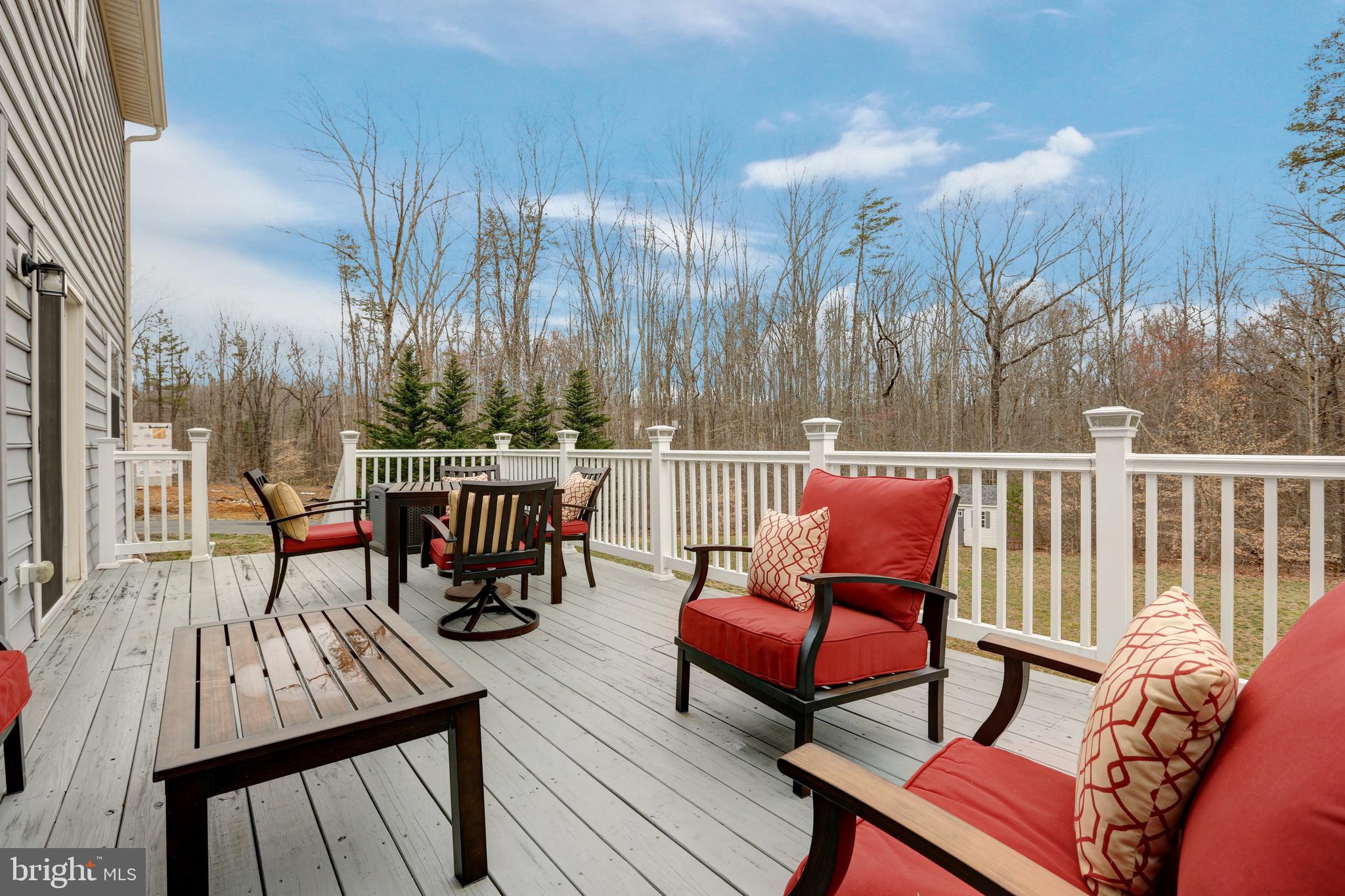 126 Reedy Creek Road Louisa, VA 23093 - Photo 37 of 43 Gallery Image 37