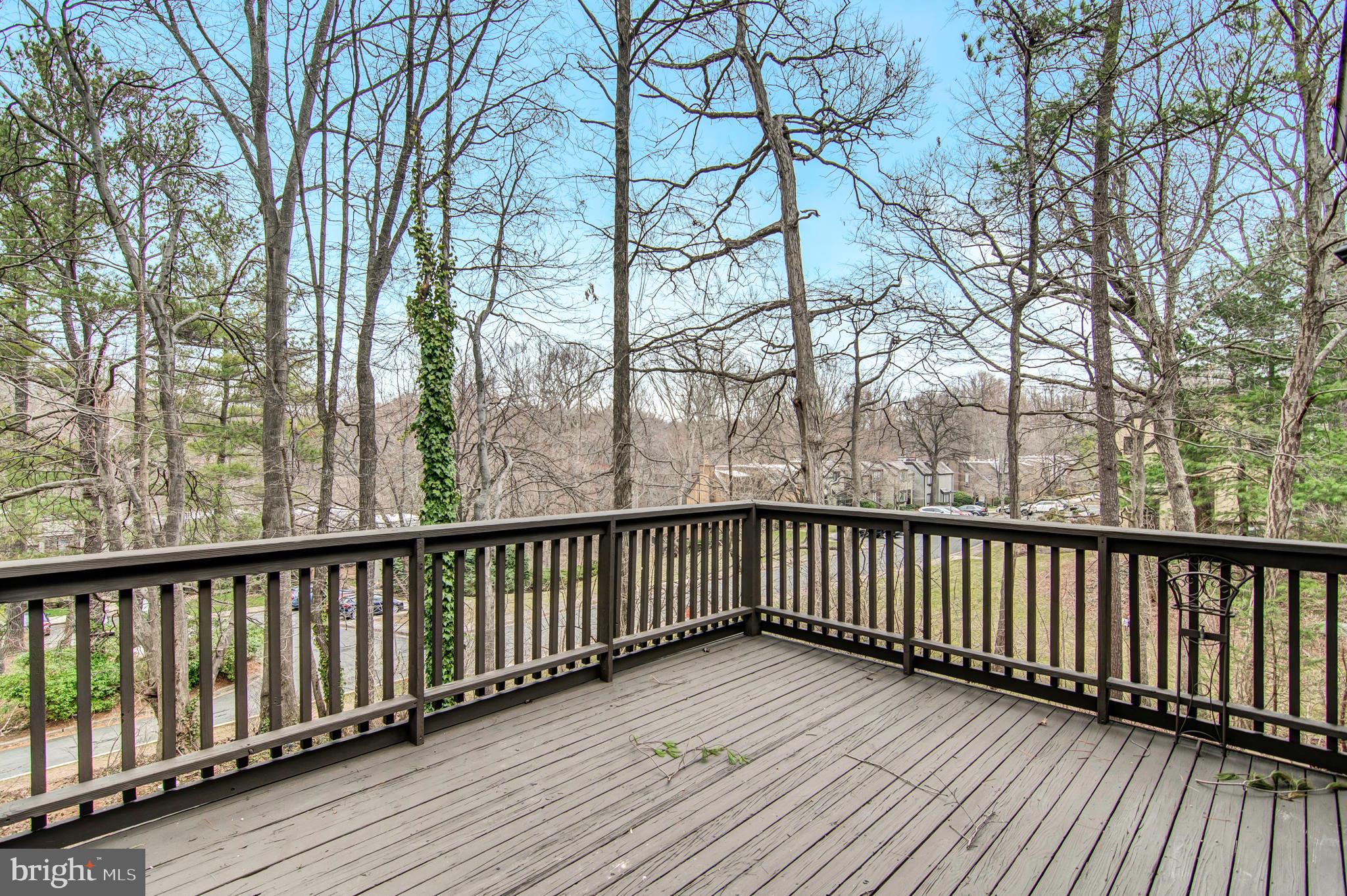 1518 Scandia Circle Reston, VA 20190 - Photo 53 of 55