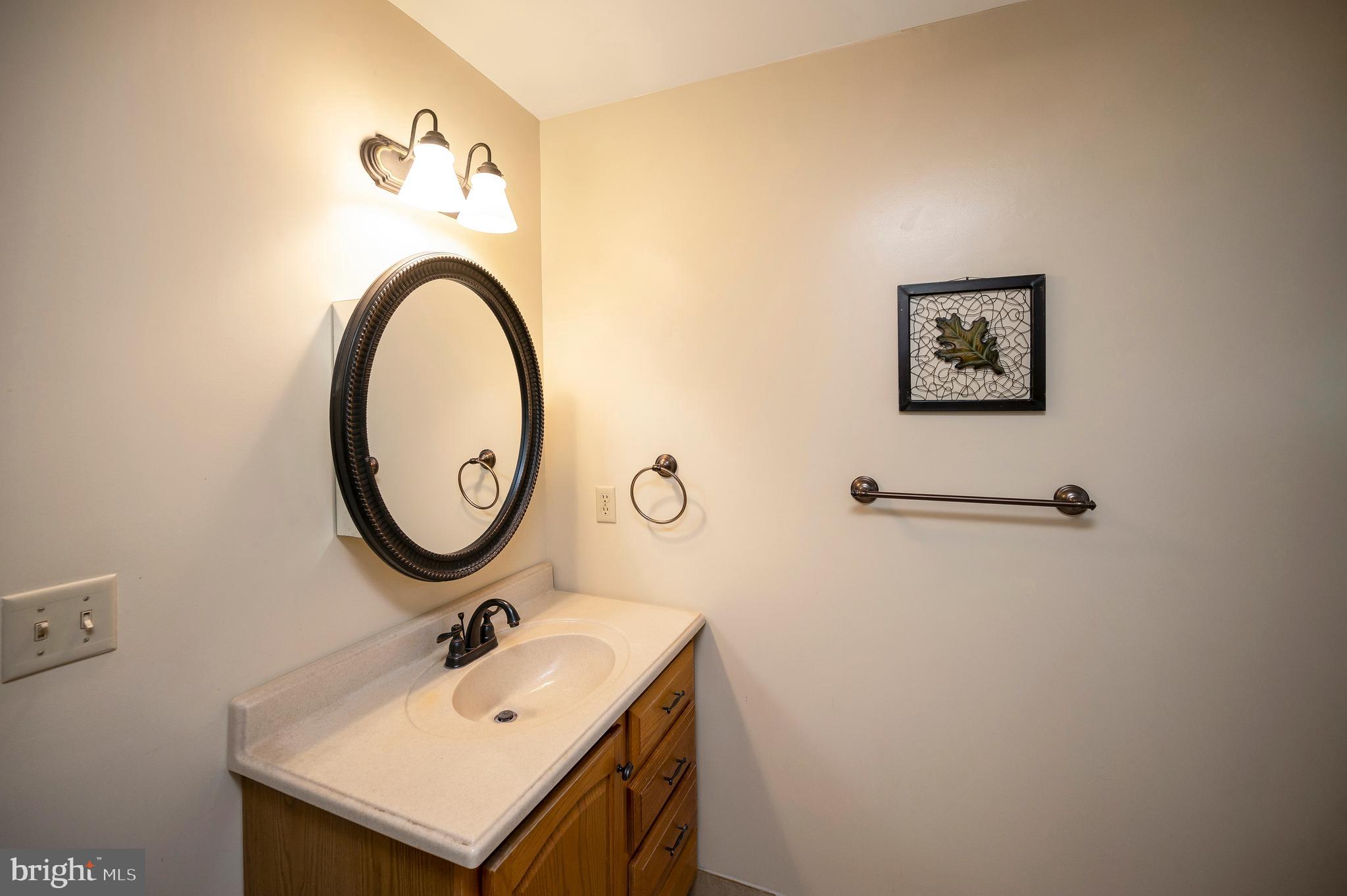104 Appleview Court Locust Grove, VA 22508 - Photo 20 of 65 a bathroom with a sink and a mirror